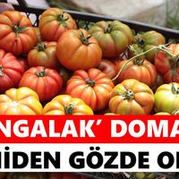 İncirliova