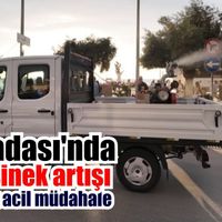 Kuşadası