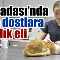 Kuşadası