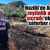 Nazilli