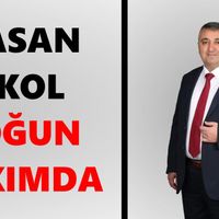 Aydın