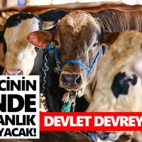 Genel