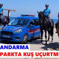 Aydın