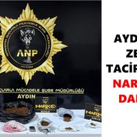 Aydın