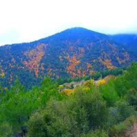 Aydın