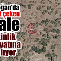 Bozdoğan