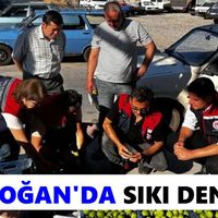 Bozdoğan