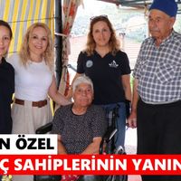 Bozdoğan