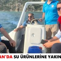 Aydın