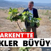 Buharkent