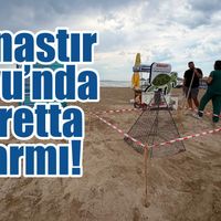 Didim