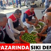 Nazilli