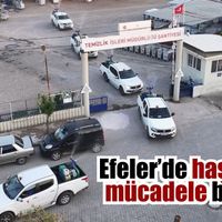 Efeler