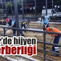Efeler