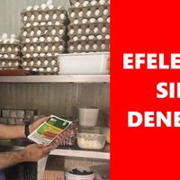 Aydın