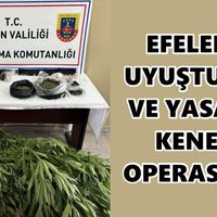 Aydın