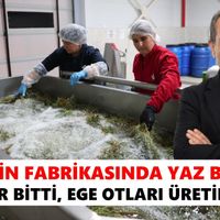 Efeler