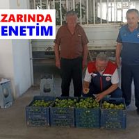 Buharkent