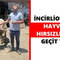 İncirliova
