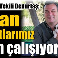 Kuşadası