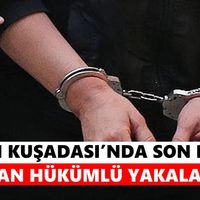 Aydın