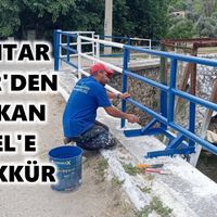Bozdoğan