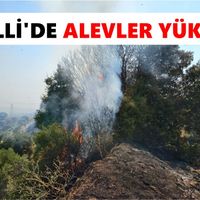 Nazilli