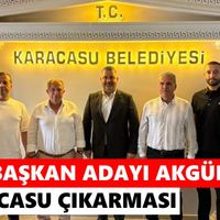 Karacasu