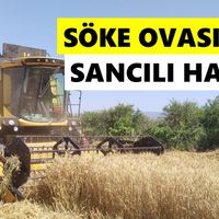 Söke
