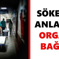 Aydın