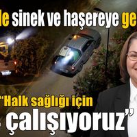 Didim