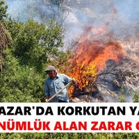 Yenipazar
