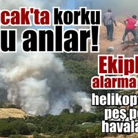 Kuyucak