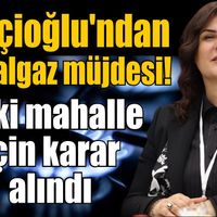 Aydın