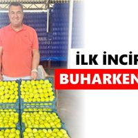 Buharkent