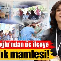 Aydın