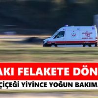 Bozdoğan
