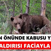 Asayiş