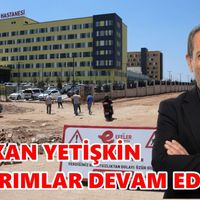 Efeler