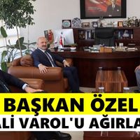 Bozdoğan