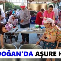 Bozdoğan