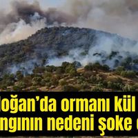 Bozdoğan