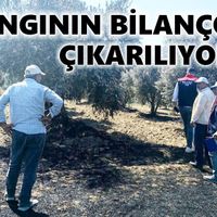 Bozdoğan