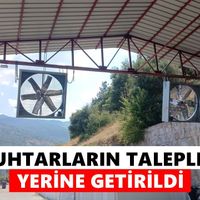 Bozdoğan