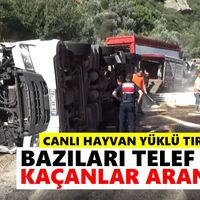 Asayiş