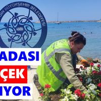 Aydın