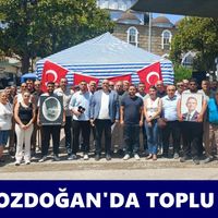 Bozdoğan