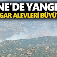 Çine