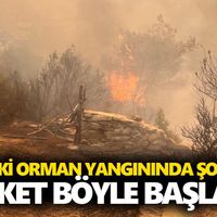Aydın