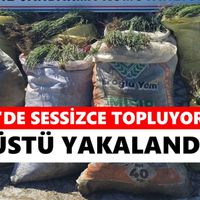Didim